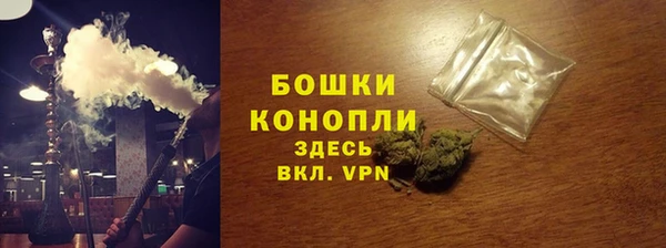 PSILOCYBIN Белокуриха