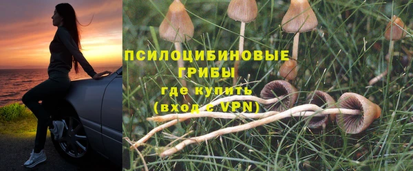 PSILOCYBIN Белокуриха